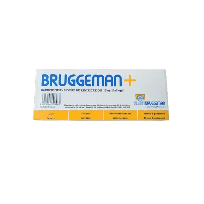 Bruggeman gist